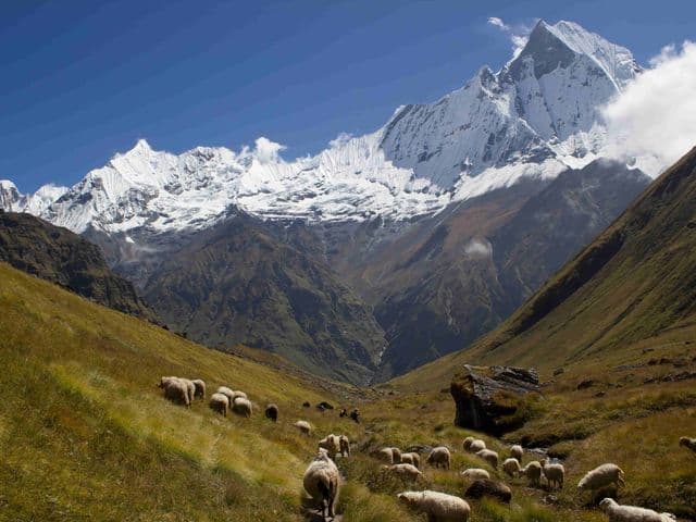 ABC by Trilok Shrivastava