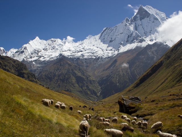 ABC by Trilok Shrivastava